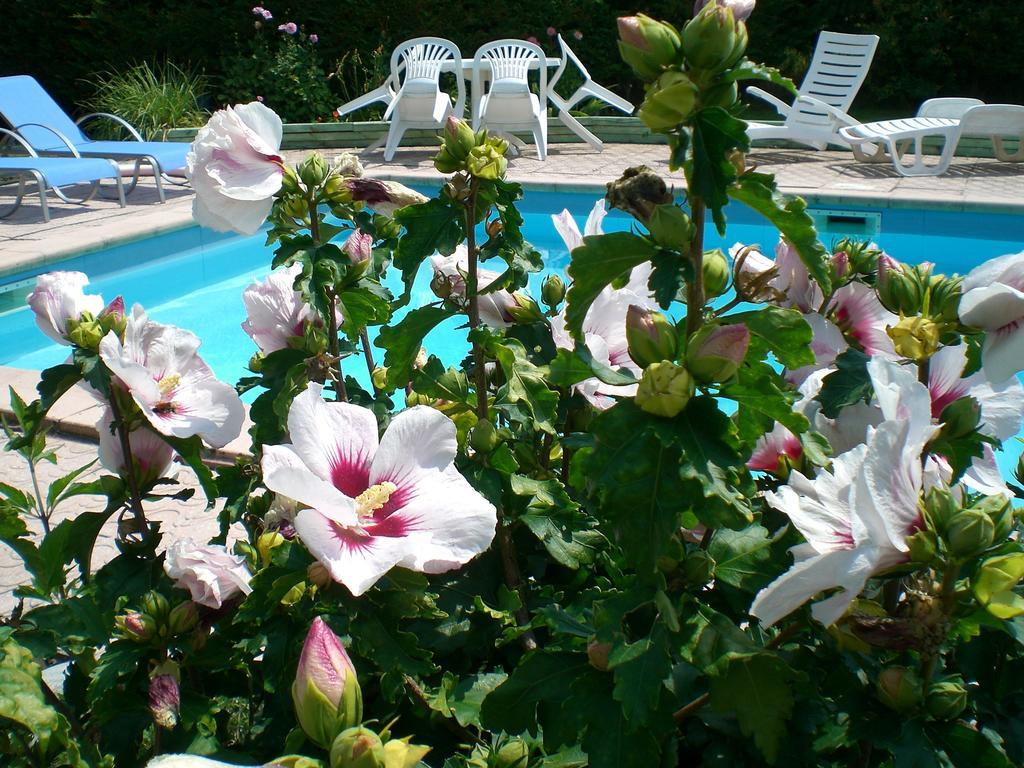 Chambres D'Hotes Le Clos Des Senteurs مالمور المظهر الخارجي الصورة